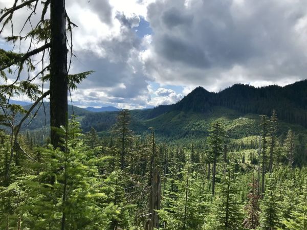 Crescent Mountain - Oregon Timber Trail 